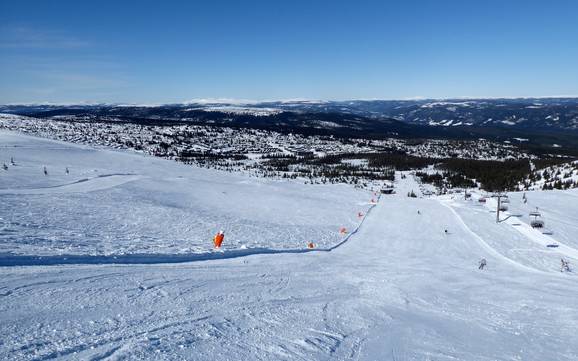 Sciare in Østlandet