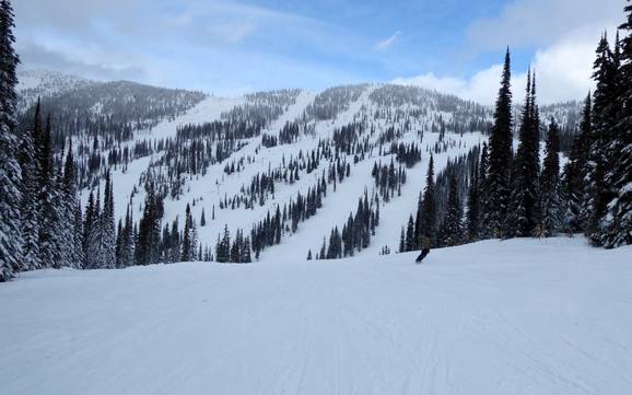 Central Kootenay: Dimensione dei comprensori sciistici – Dimensione Whitewater - Nelson