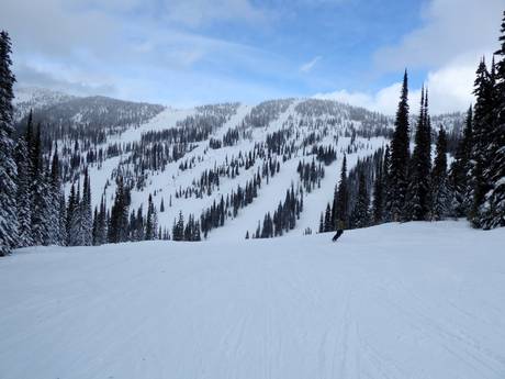 Selkirk Mountains: Dimensione dei comprensori sciistici – Dimensione Whitewater - Nelson