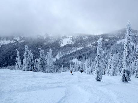 Comprensori sciistici per sciatori esperti e freeriding Kootenay Boundary – Sciatori esperti, freerider Red Mountain Resort - Rossland