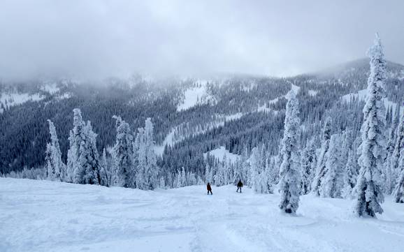 Comprensori sciistici per sciatori esperti e freeriding Monashee Mountains – Sciatori esperti, freerider Red Mountain Resort - Rossland