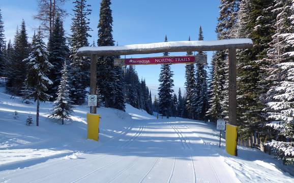 Sci di fondo North Okanagan – Sci di fondo SilverStar