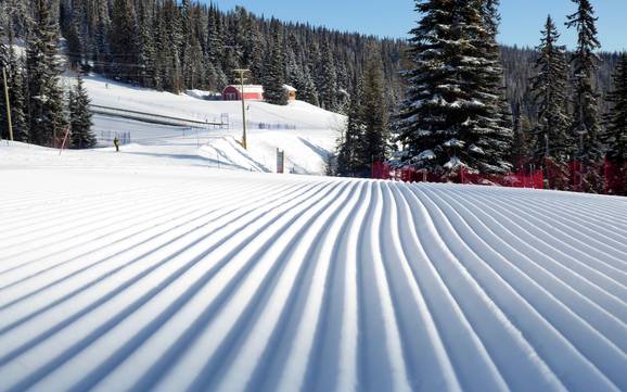 Preparazione delle piste North Okanagan – Preparazione delle piste SilverStar