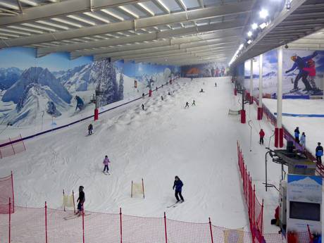 Inghilterra: Rispetto ambiente dei comprensori sciistici – Ecologia The Snow Centre - Hemel Hempstead