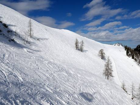 Comprensori sciistici per sciatori esperti e freeriding Berchtesgadener Land – Sciatori esperti, freerider Jenner - Schönau am Königssee