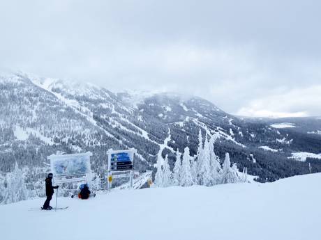 Kootenay Boundary: Recensioni dei comprensori sciistici – Recensione Red Mountain Resort - Rossland