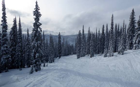 Offerta di piste Central Kootenay – Offerta di piste Whitewater - Nelson