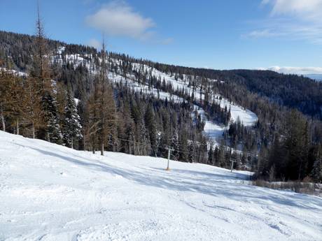 Offerta di piste Thompson Okanagan – Offerta di piste SilverStar