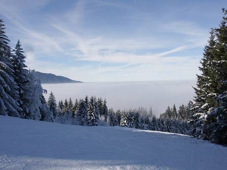 Ammergauer Alpen: Recensioni dei comprensori sciistici – Recensione Hörnle - Bad Kohlgrub