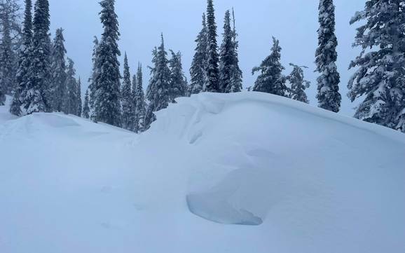 Sicurezza neve Central Kootenay – Sicurezza neve Whitewater - Nelson