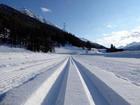 Sci di fondo Alpi dell'Albula – Sci di fondo Zuoz - Pizzet/Albanas